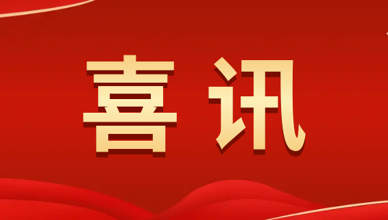 喜訊 | 數碼大方入選上海浦東新區數字化改造服務商